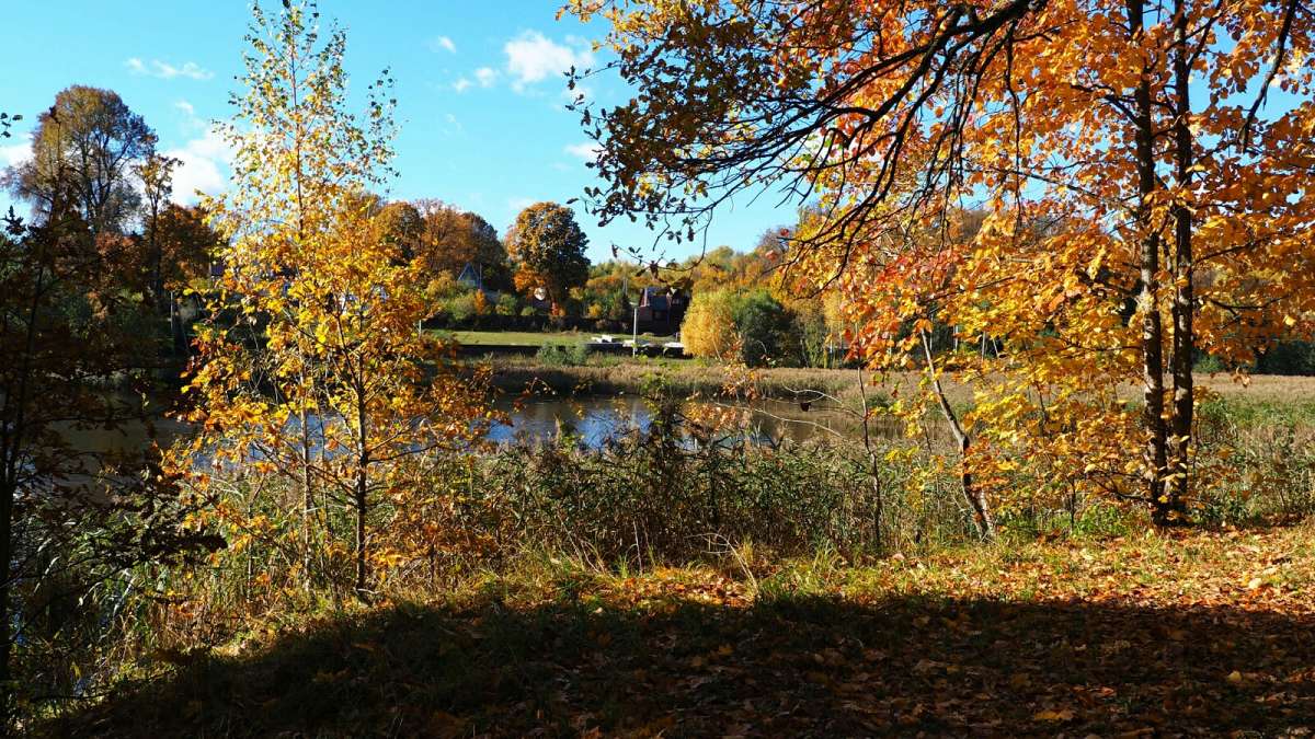 ����� � �������. ����� �������� �������� �� PhotoGeek.ru #������ ��� �������