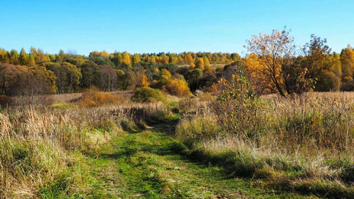 ���������� �����. ����� �������� �������� �� PhotoGeek.ru #������ ��� �������