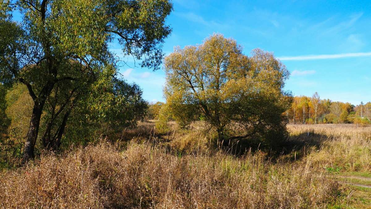 ���������� ����� - �������. ����� �������� �������� �� PhotoGeek.ru #������ ��� �������