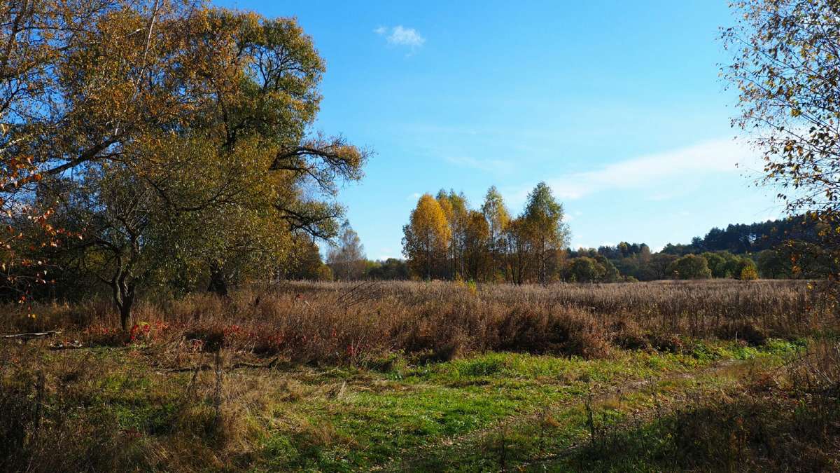 ���������� � �������. ����� �������� �������� �� PhotoGeek.ru #������ ��� �������