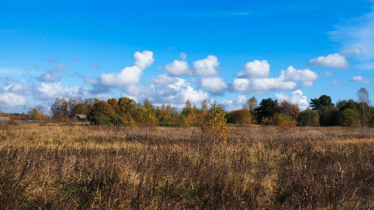 ������� ������. ����� �������� �������� �� PhotoGeek.ru #������ ��� �������