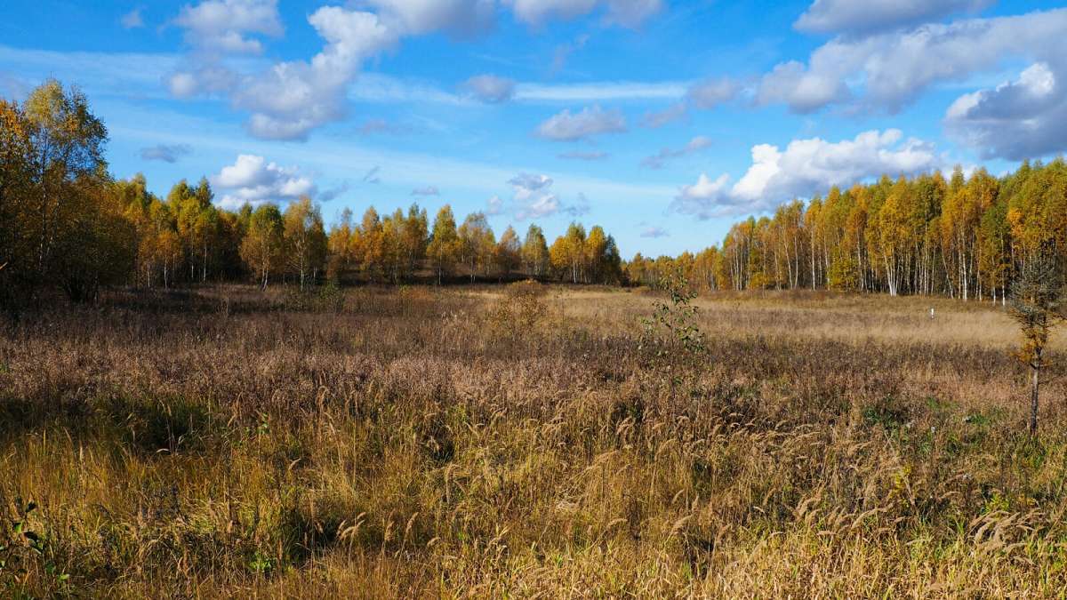 ���������� �����. ����� �������� �������� �� PhotoGeek.ru #������ ��� �������