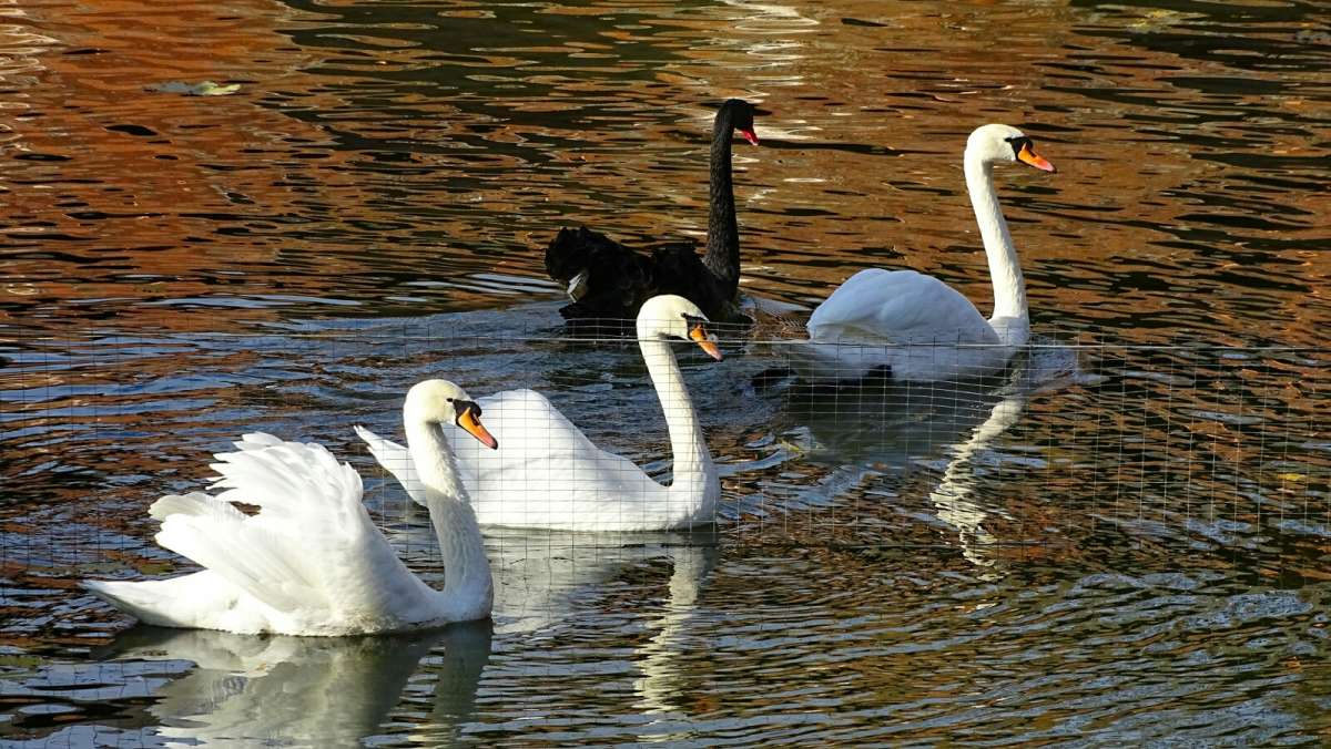 ������ ���������� ����. ����� �������� �������� �� PhotoGeek.ru #����� #�������� ���