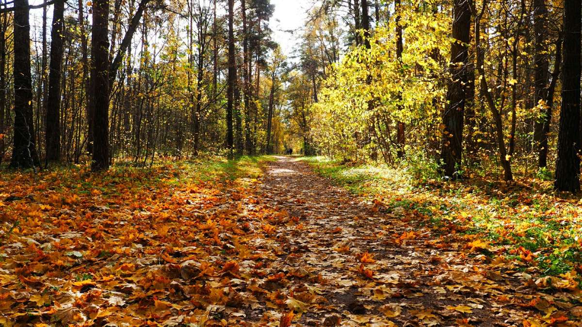 ������� ���. ����� �������� �������� �� PhotoGeek.ru #������ ��� �������