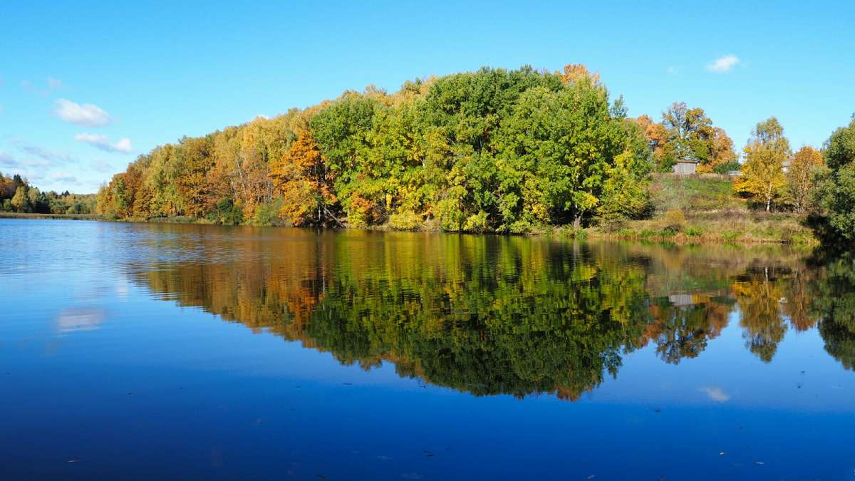 ������� ���������. ����� �������� �������� �� PhotoGeek.ru #������ ��� �������