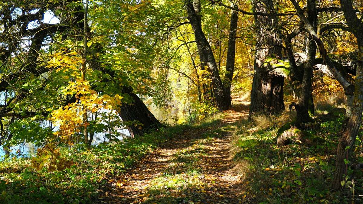 ������� ������. ����� �������� �������� �� PhotoGeek.ru #������ ��� �������