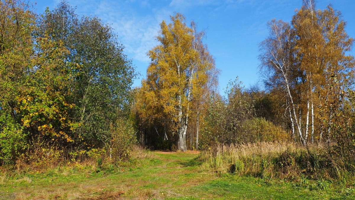 ������� �����. ����� �������� �������� �� PhotoGeek.ru #������ ��� �������