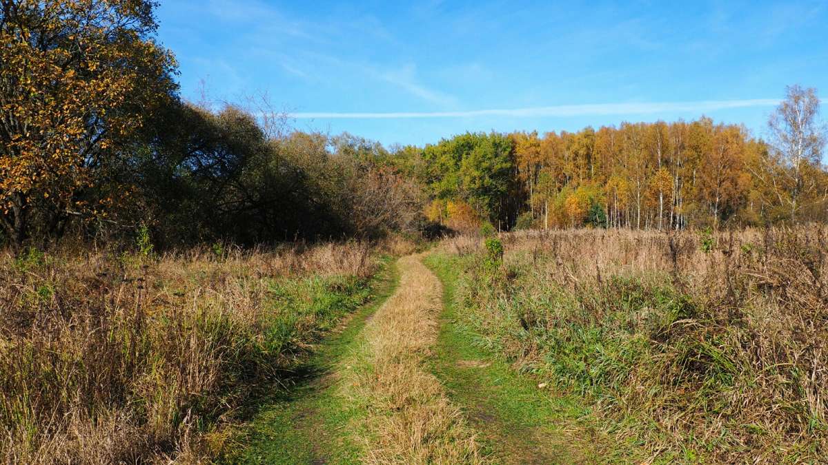 ������ ������� �� ����������� ������. ����� �������� �������� �� PhotoGeek.ru #������ ��� �������