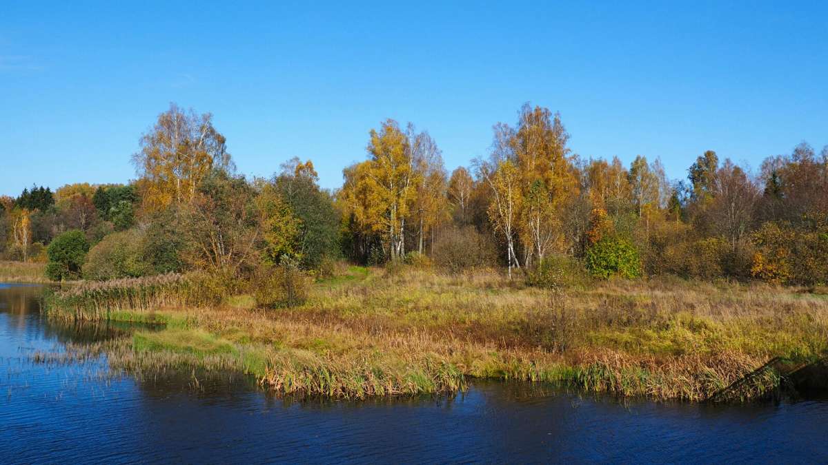 ���������� �����. ����� �������� �������� �� PhotoGeek.ru #������ ��� �������