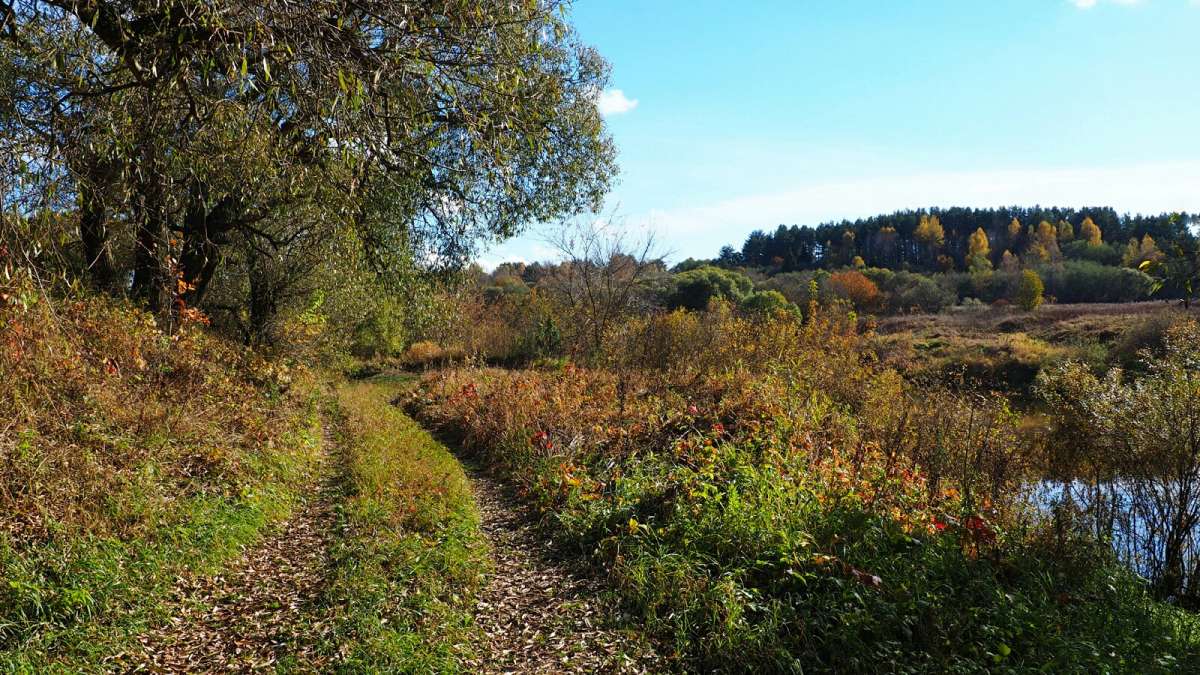 �� ������ ������. ����� �������� �������� �� PhotoGeek.ru #������ ��� �������