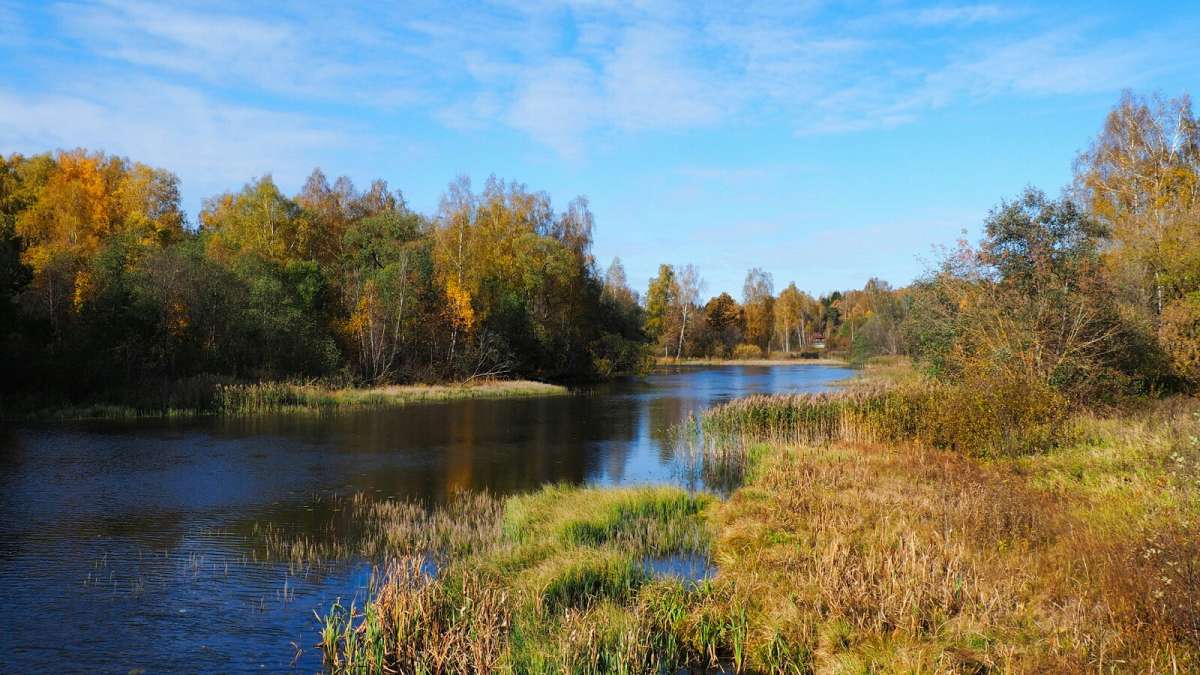 ��� ����������. ����� �������� �������� �� PhotoGeek.ru #������ ��� �������