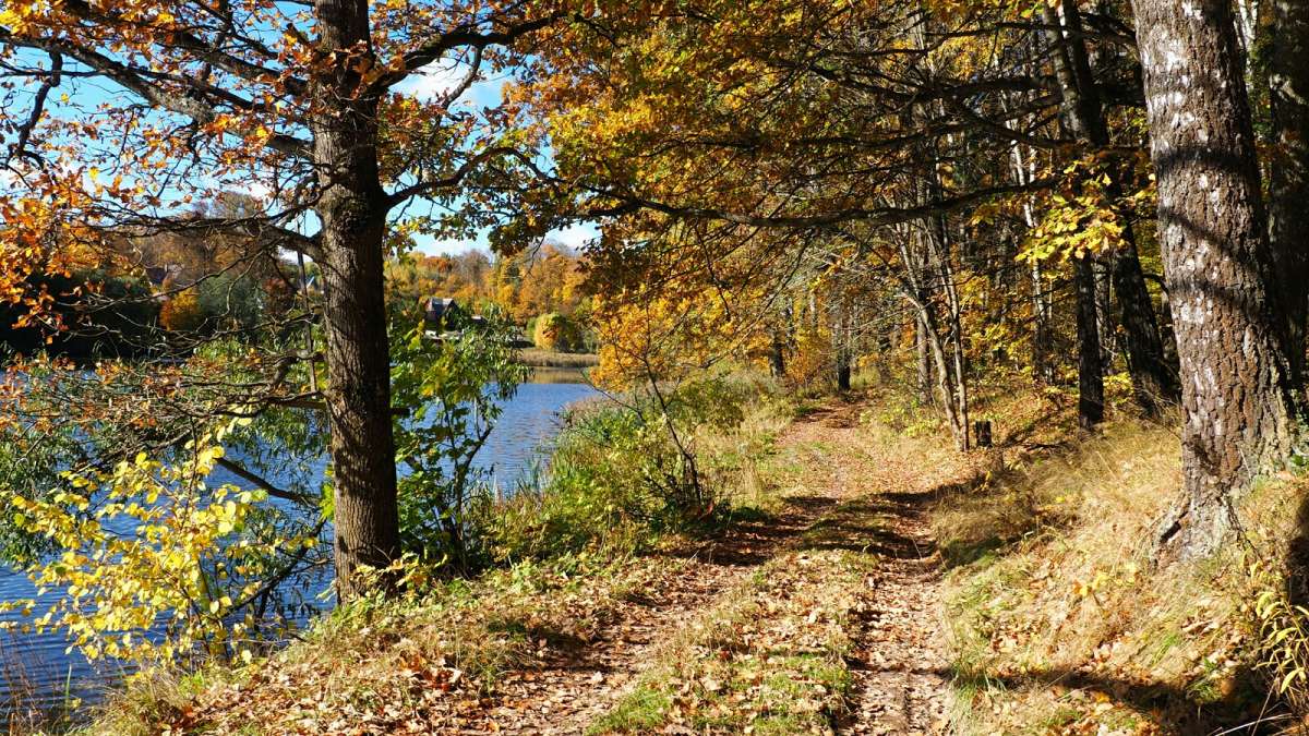 ���������� �����. ����� �������� �������� �� PhotoGeek.ru #������ ��� �������