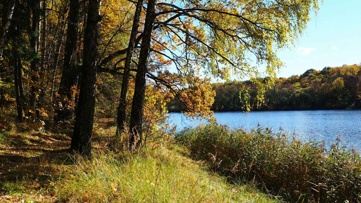 ���������� �����. ����� �������� �������� �� PhotoGeek.ru #������ ��� �������