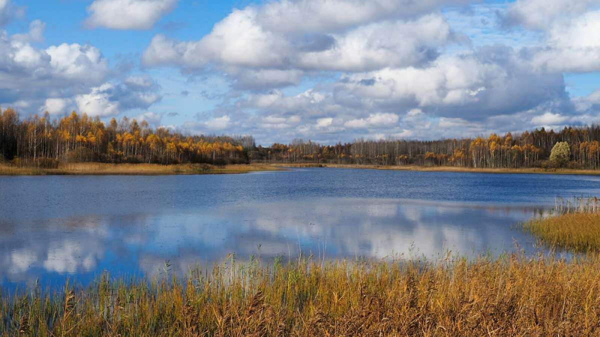 ��� ����������. ����� �������� �������� �� PhotoGeek.ru #������ ��� �������