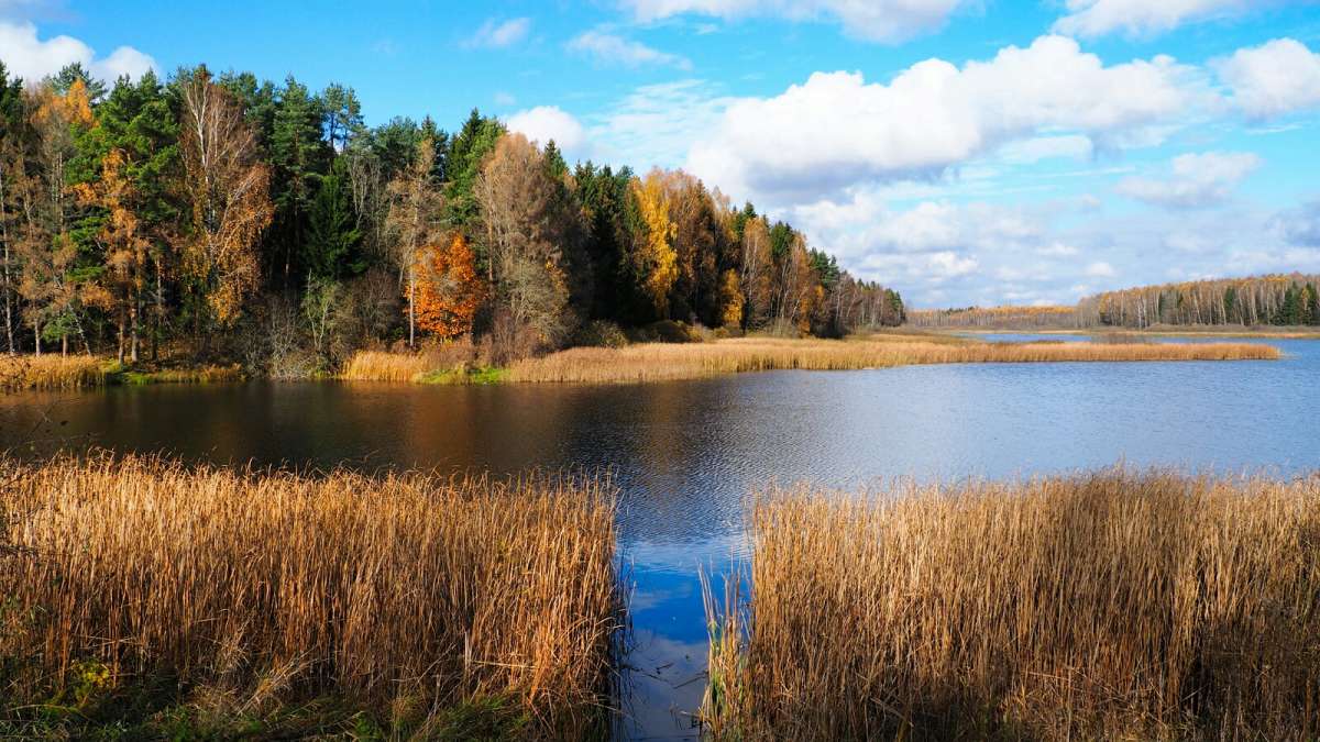 ��� ����������. ����� �������� �������� �� PhotoGeek.ru #������ ��� �������