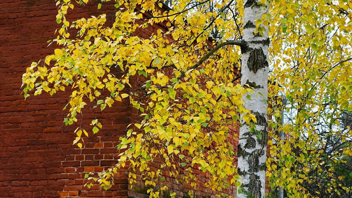 �������� �����. ����� �������� �������� �� PhotoGeek.ru #������ ��� �������