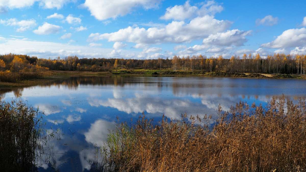 ������ ������ �� ������ �����. ����� �������� �������� �� PhotoGeek.ru #������ ��� �������