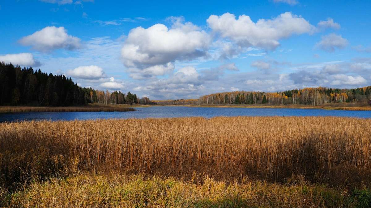 ��� ����������. ����� �������� �������� �� PhotoGeek.ru #������ ��� �������