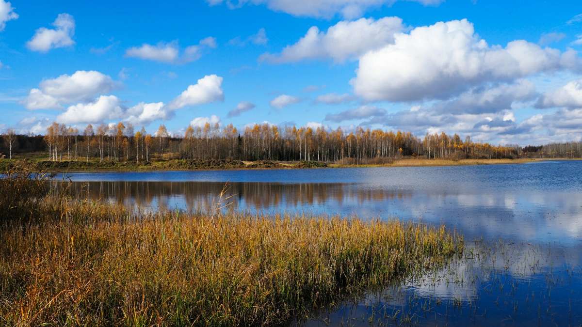 ���������� � �������. ����� �������� �������� �� PhotoGeek.ru #������ ��� �������