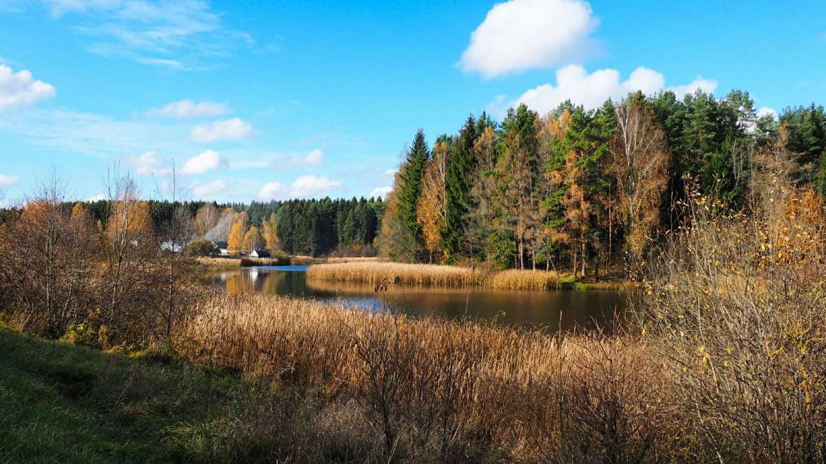 ������� ����������� ������. ����� �������� �������� �� PhotoGeek.ru #������ ��� �������