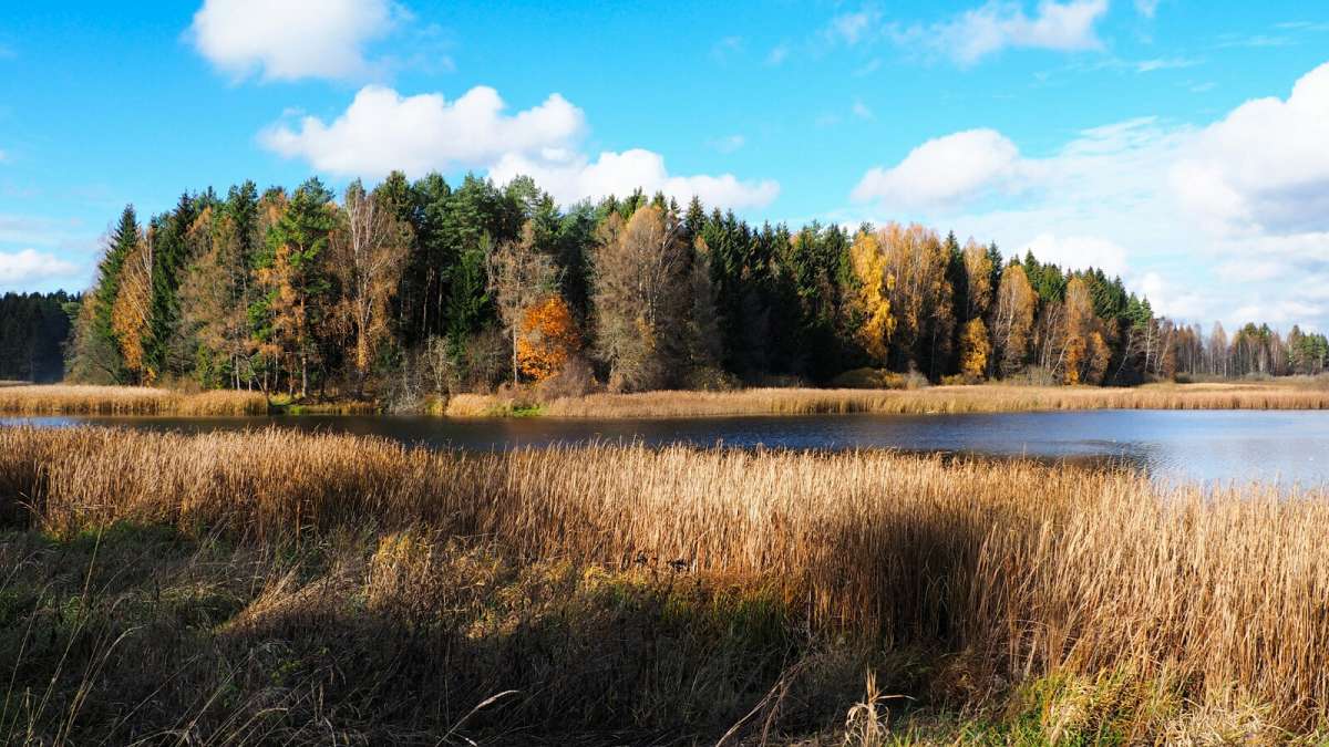 ���������� �����. ����� �������� �������� �� PhotoGeek.ru #������ ��� �������