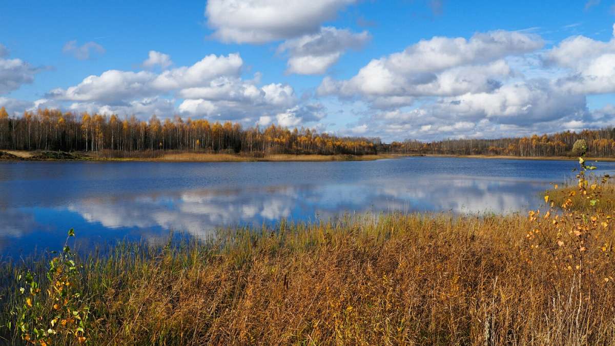 ��� ����. ����� �������� �������� �� PhotoGeek.ru #������ ��� �������