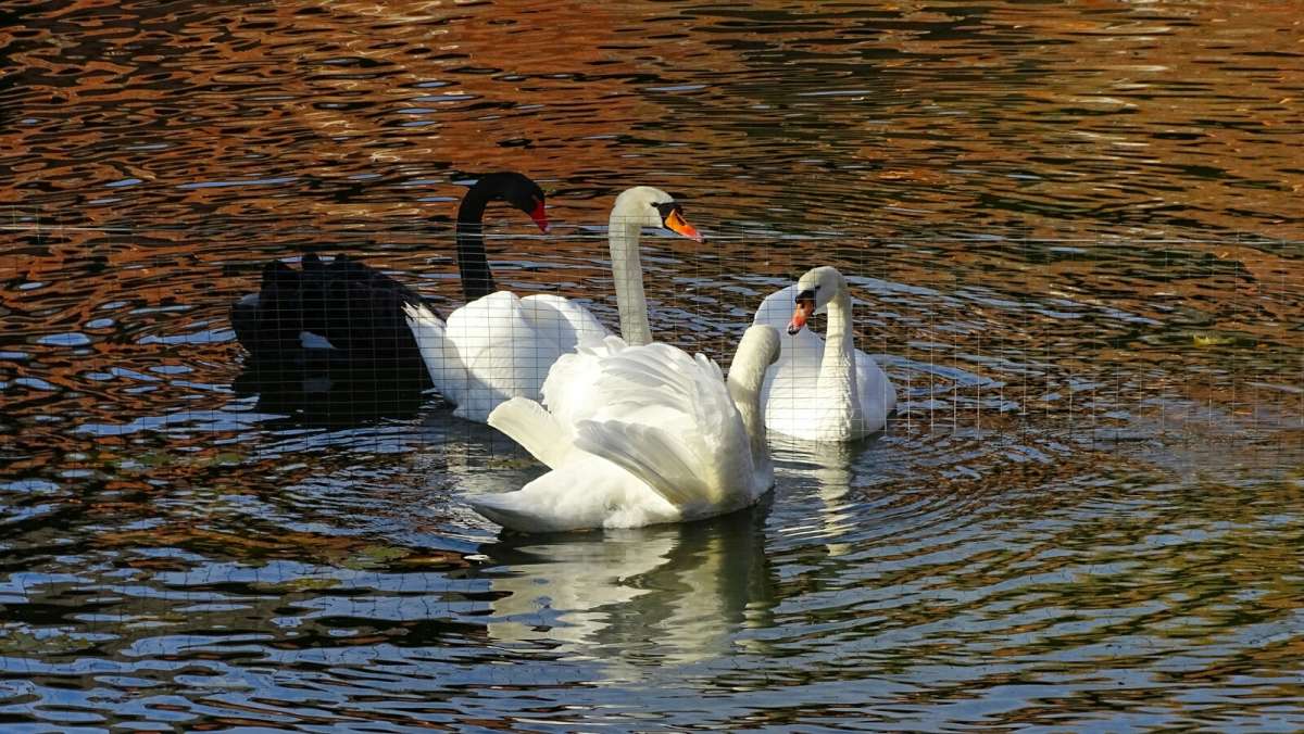 ������ ���������� ����. ����� �������� �������� �� PhotoGeek.ru #����� #�������� ���