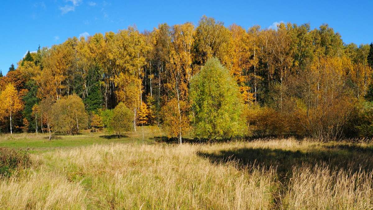 �������� ���������� �����. ����� �������� �������� �� PhotoGeek.ru #������ ��� �������