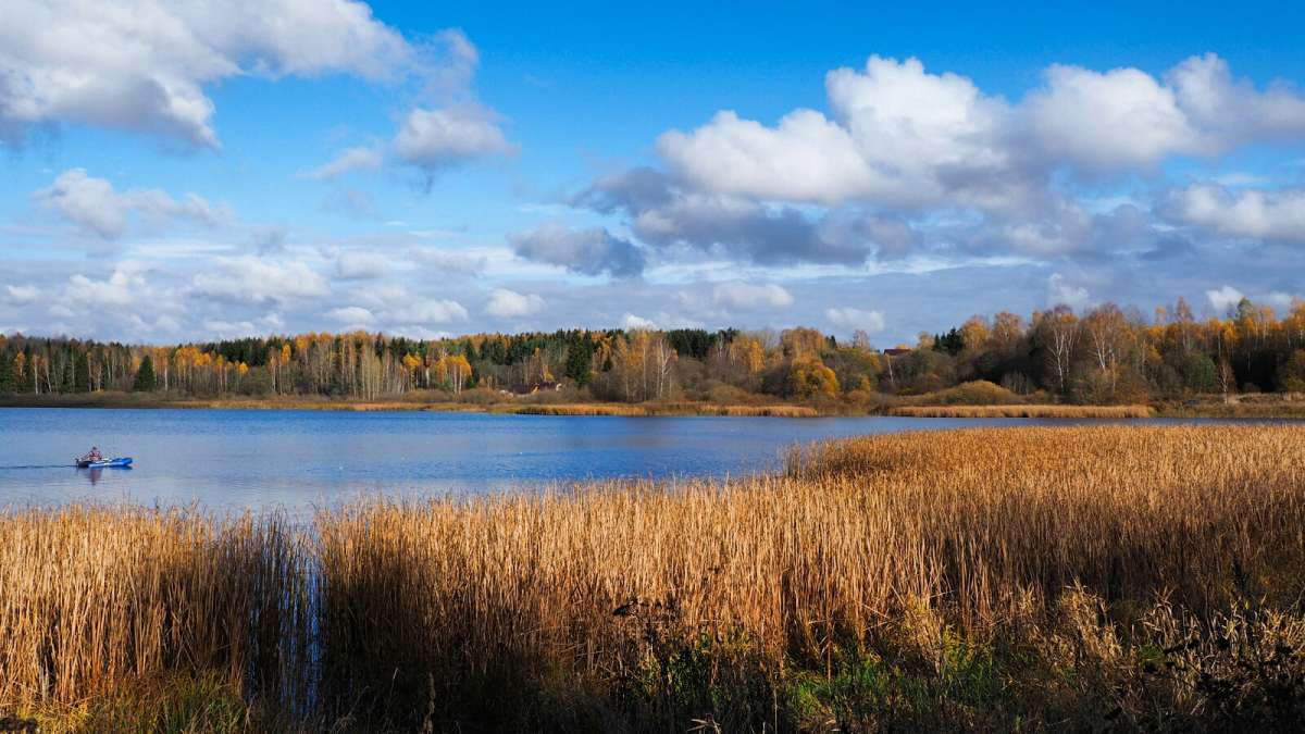 ��� ����������. ����� �������� �������� �� PhotoGeek.ru #������ ��� �������