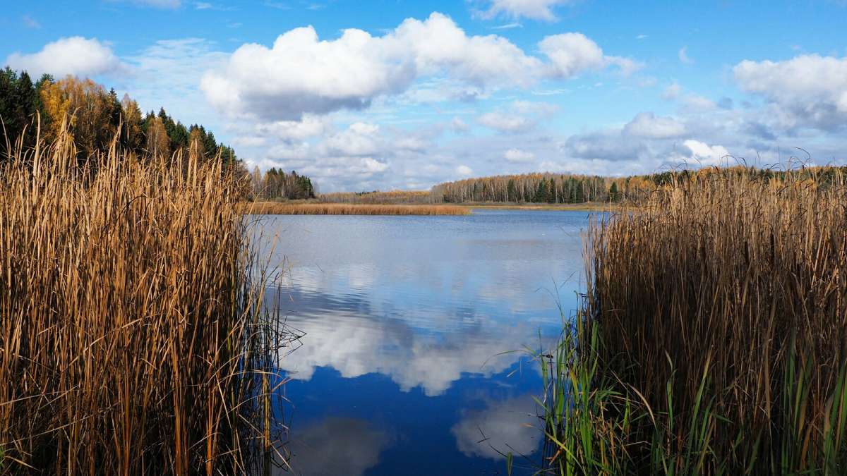 ��� ������. ����� �������� �������� �� PhotoGeek.ru #������ ��� �������