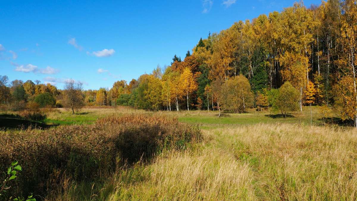 ��� ���� �������, ��� ���� �����! ����� �������� �������� �� PhotoGeek.ru #������ ��� �������