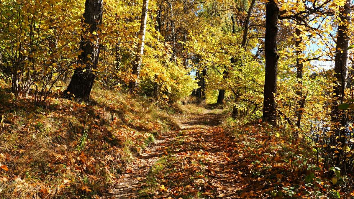 ������� ����� ����������. ����� �������� �������� �� PhotoGeek.ru #������ ��� �������