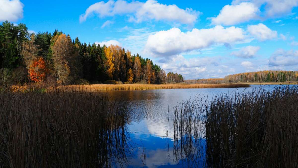 ��� ����������. ����� �������� �������� �� PhotoGeek.ru #������ ��� �������