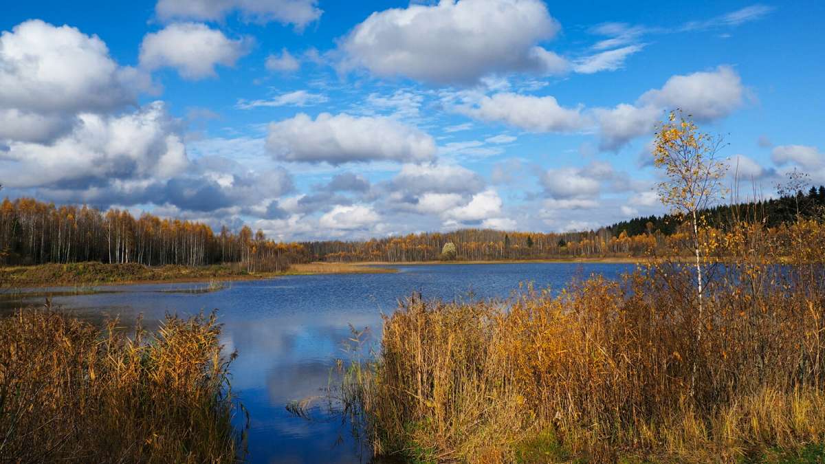 ��� ����. ����� �������� �������� �� PhotoGeek.ru #������ ��� �������