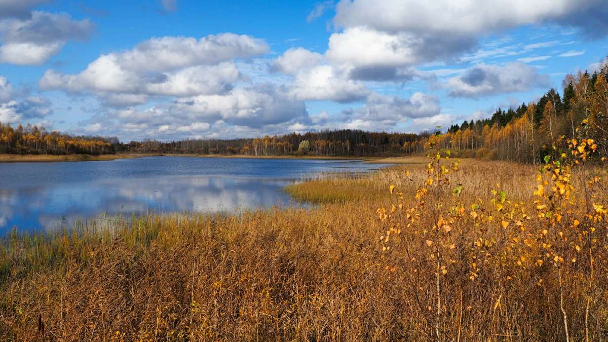 ���� ����������. ����� �������� �������� �� PhotoGeek.ru #������ ��� �������