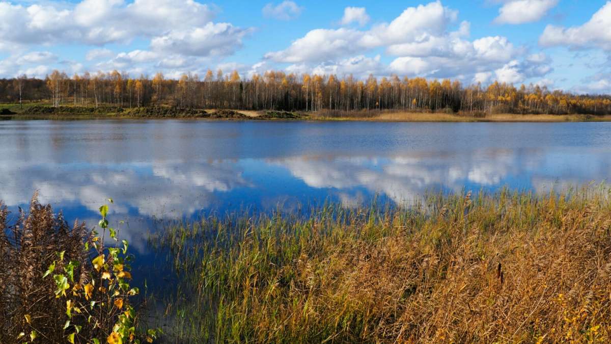 ��� ����. ����� �������� �������� �� PhotoGeek.ru #������ ��� �������