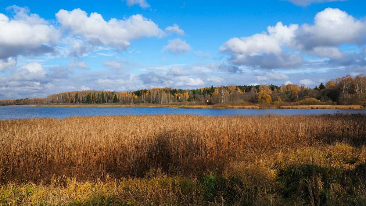 ��� ����������. ����� �������� �������� �� PhotoGeek.ru #������ ��� �������