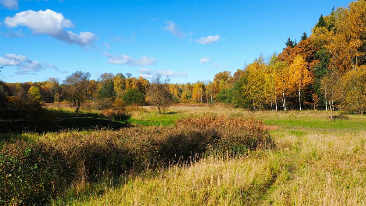 ���������� �����. ����� �������� �������� �� PhotoGeek.ru #������ ��� �������