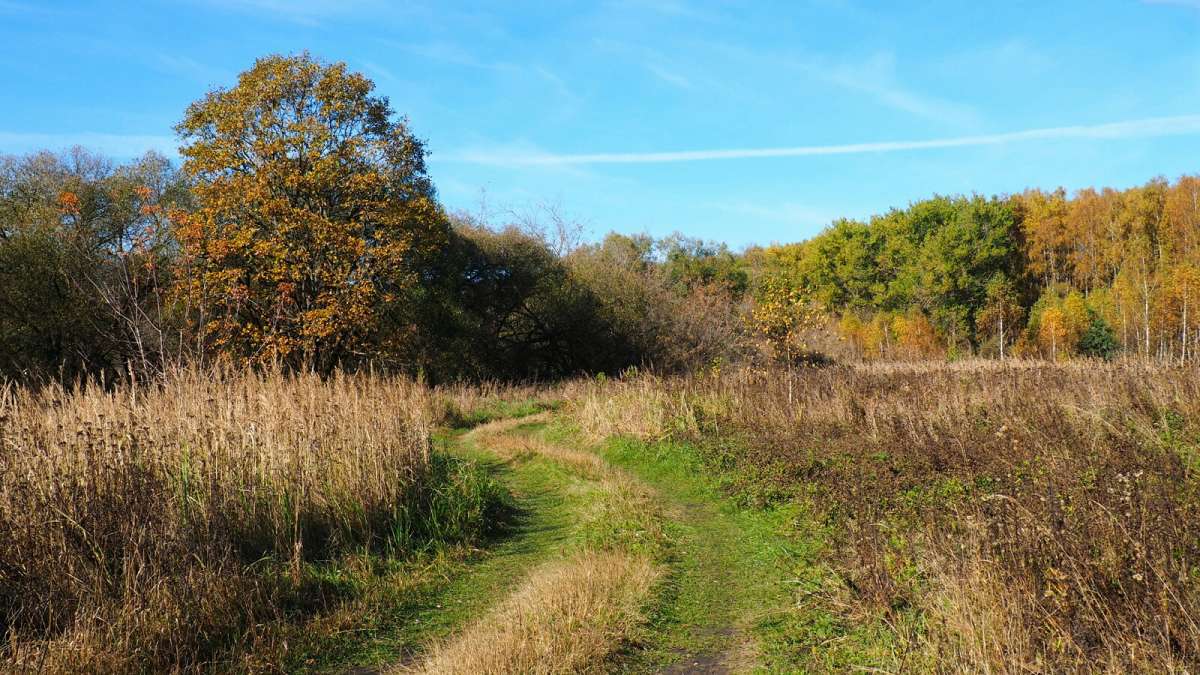 �� ������� ����������. ����� �������� �������� �� PhotoGeek.ru #������ ��� �������