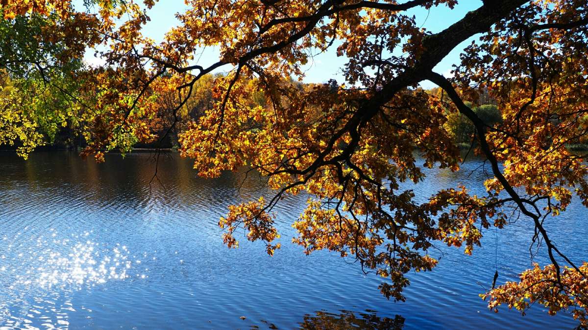 �������� �����. ����� �������� �������� �� PhotoGeek.ru #������ ��� �������