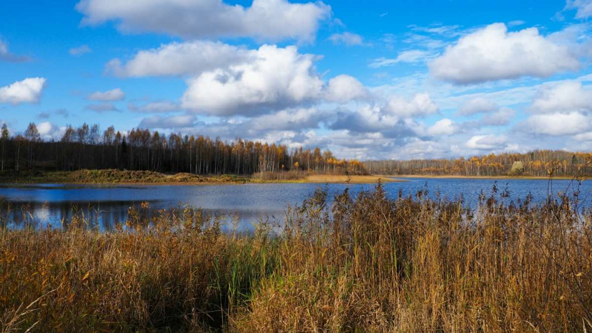 ��� ����������. ����� �������� �������� �� PhotoGeek.ru #������ ��� �������