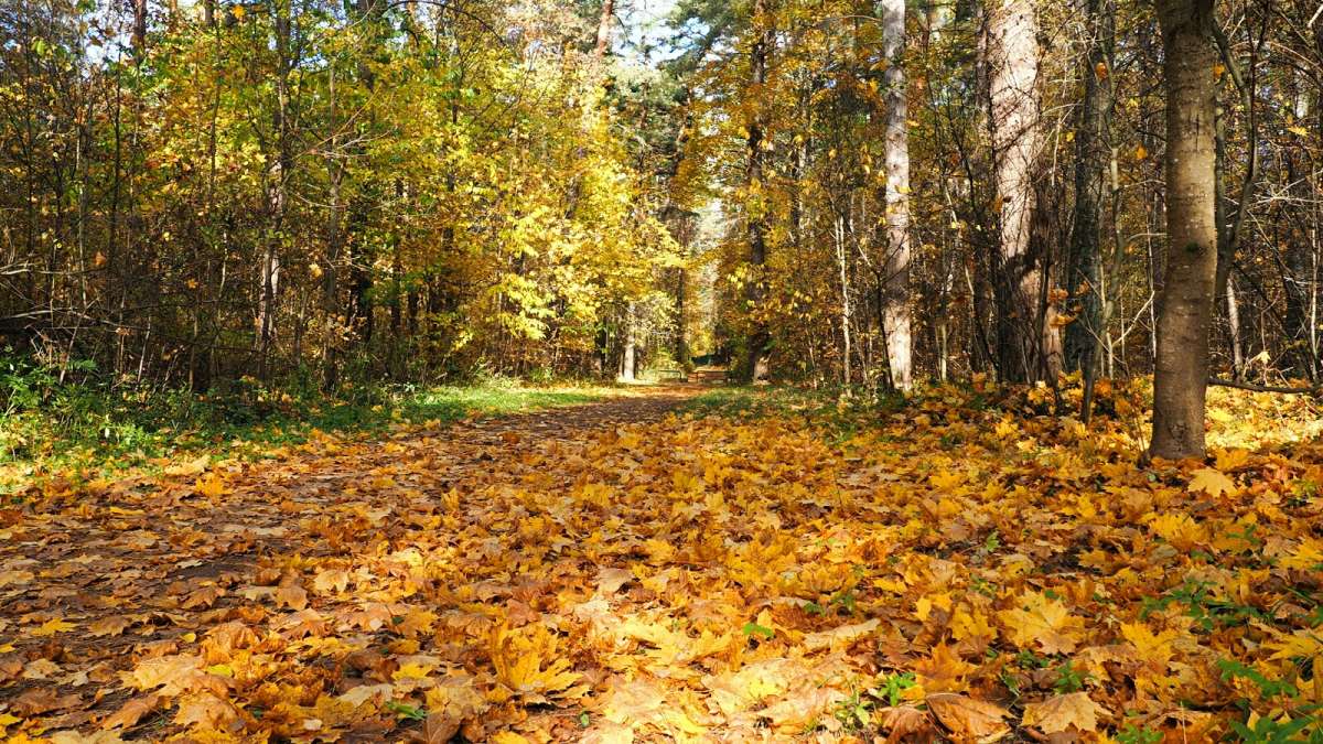 ������� ����� ����������. ����� �������� �������� �� PhotoGeek.ru #������ ��� �������