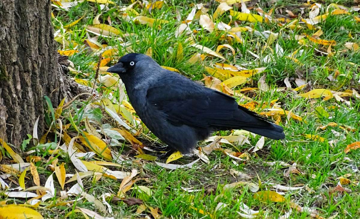 �� �����, ��������! ����� �������� �������� �� PhotoGeek.ru #����� #�������� ���