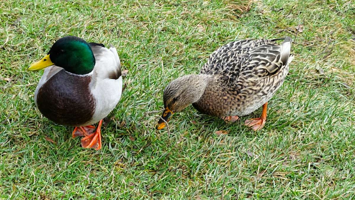 "���� � ��������". ����� �������� �������� �� PhotoGeek.ru #����� #�������� ���