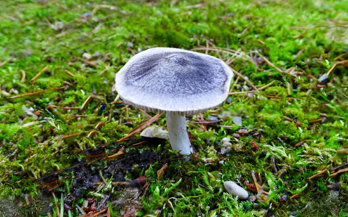 ������� ����. ����� �������� �������� �� PhotoGeek.ru #������ ��� �������