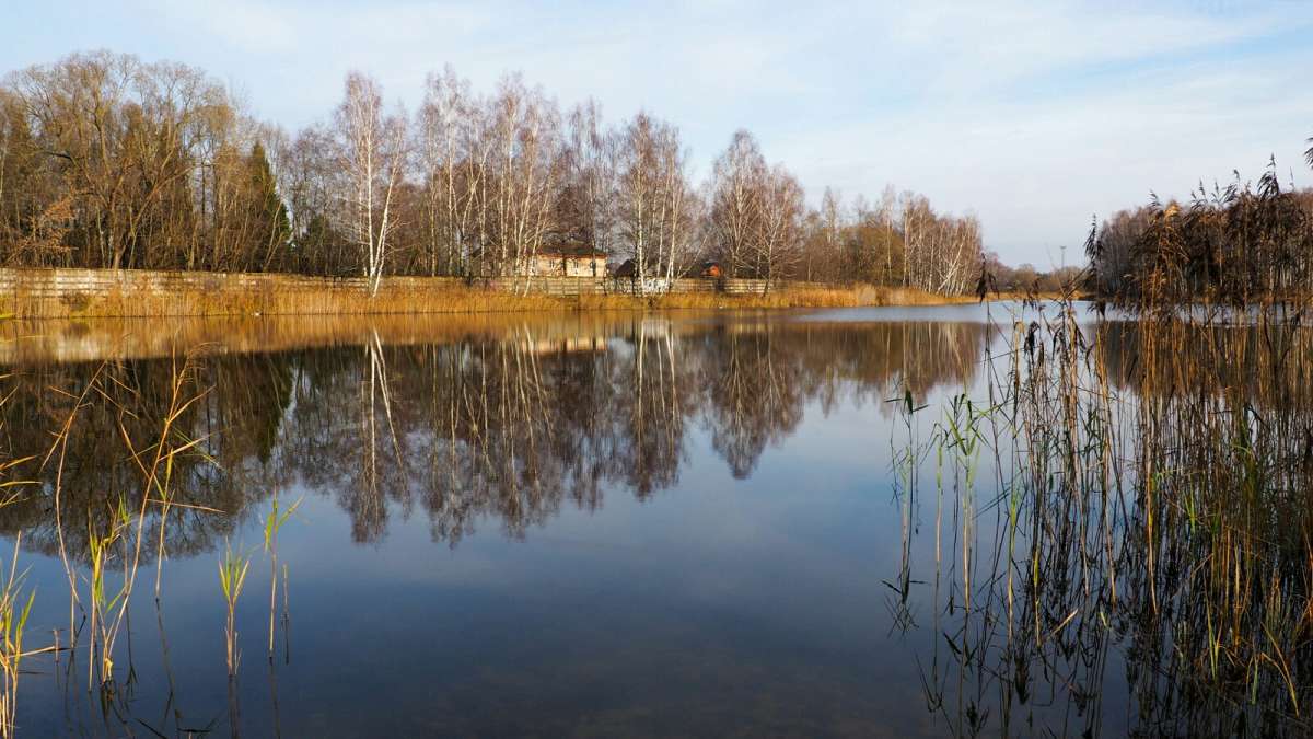 ������ �� ����������. ����� �������� �������� �� PhotoGeek.ru #������ ��� �������