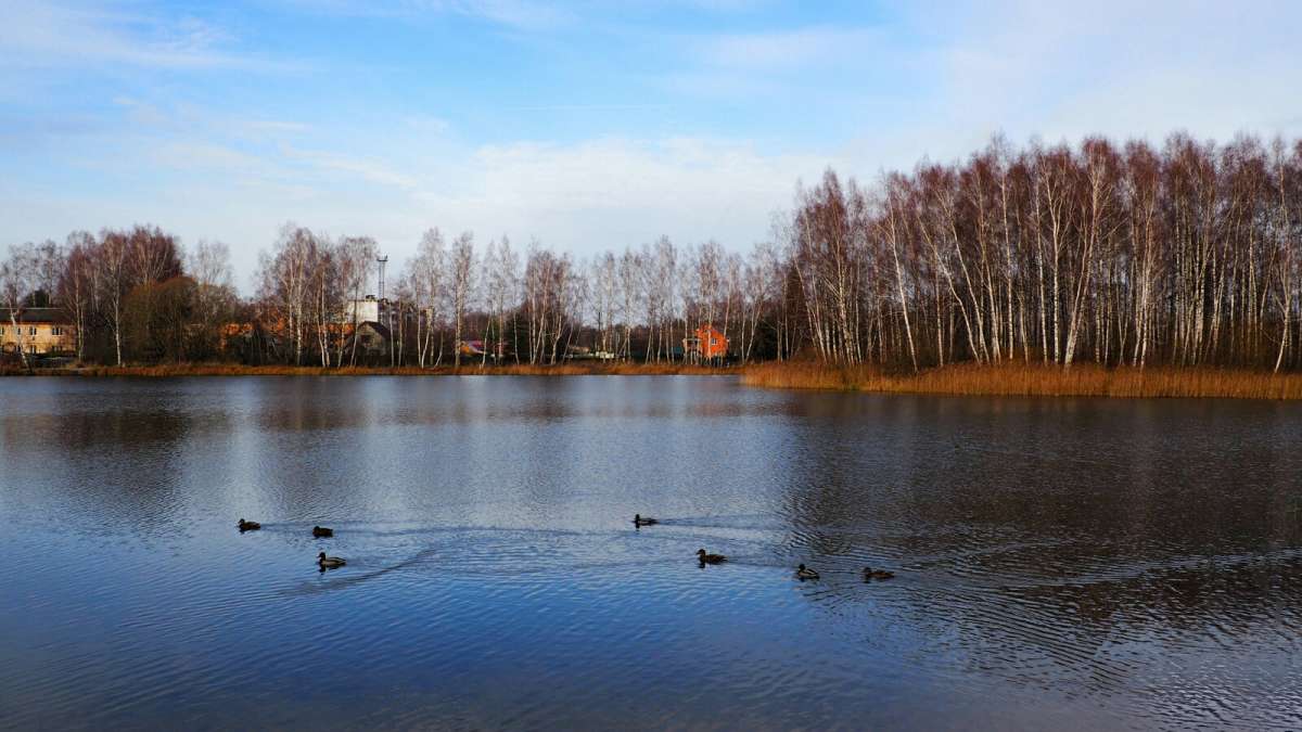 ������� ����������� ������. ����� �������� �������� �� PhotoGeek.ru #������ ��� �������