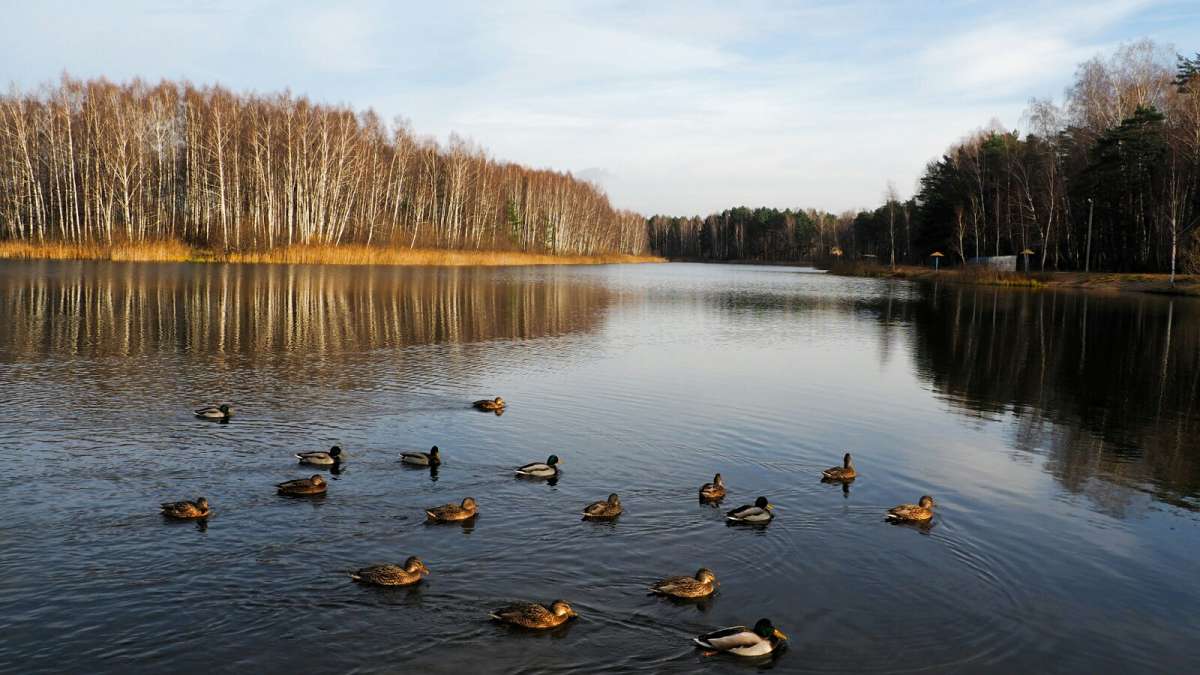 ������� ������. ����� �������� �������� �� PhotoGeek.ru #������ ��� �������