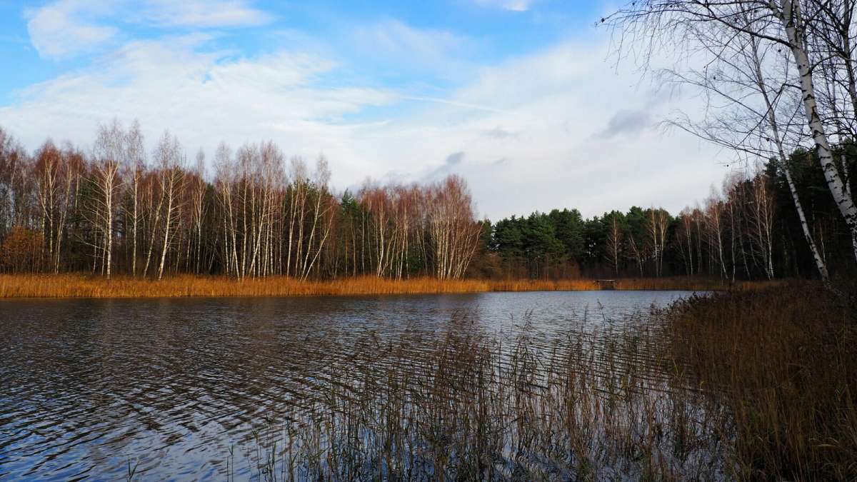 ���������� �����. ����� �������� �������� �� PhotoGeek.ru #������ ��� �������