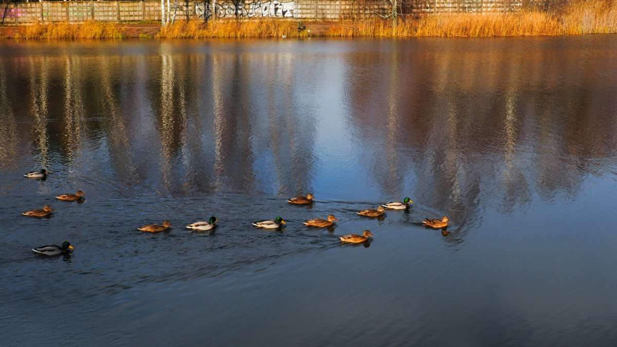 �� ������ ���� �������� �����. ����� �������� �������� �� PhotoGeek.ru #�������� ��� #������ ��� �������